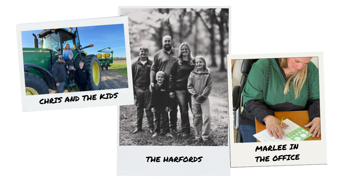 A collage of polaroid's showing the Harford family.